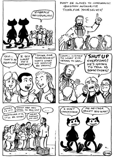 The Catmonkeys Don't Understand