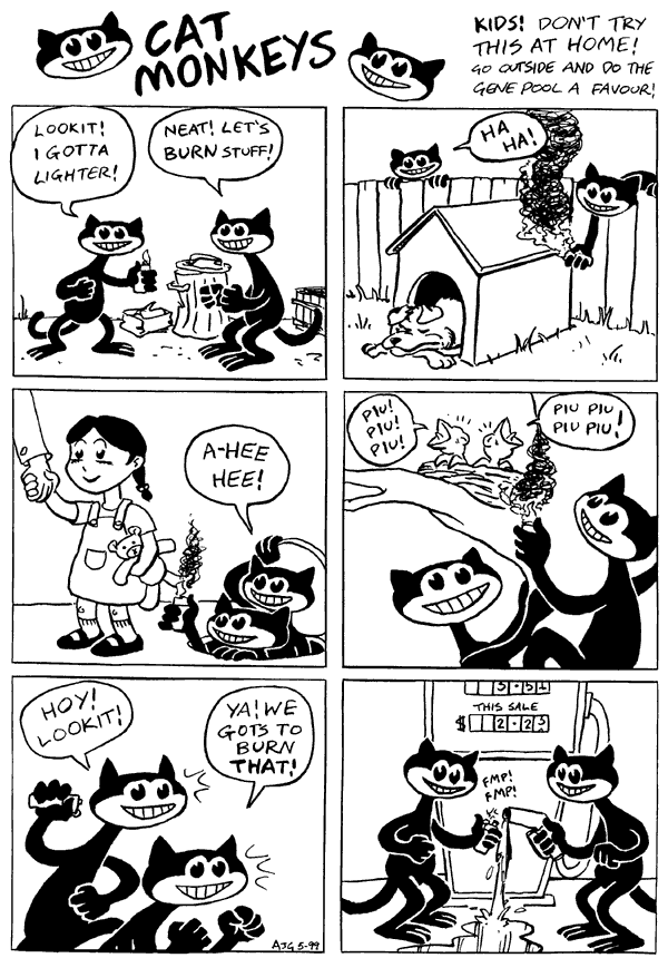 The Catmonkeys Burn Things